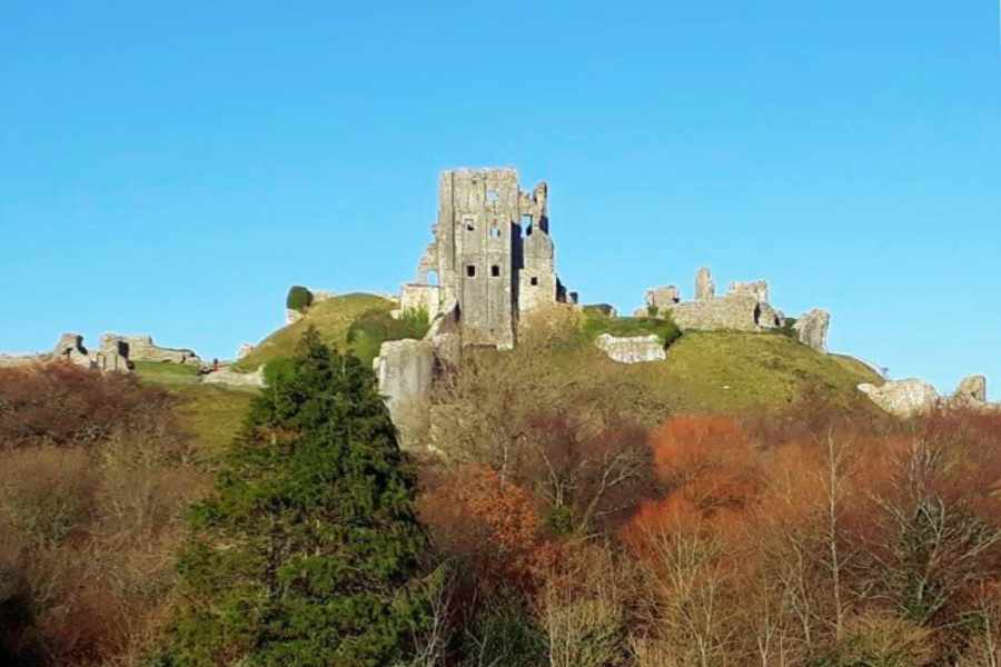 Corfe Castle Surgery