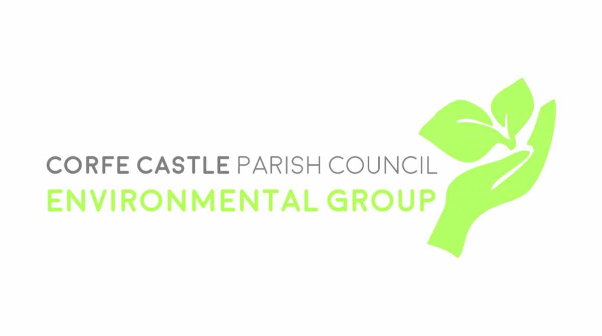 Ccpc Environmental Group