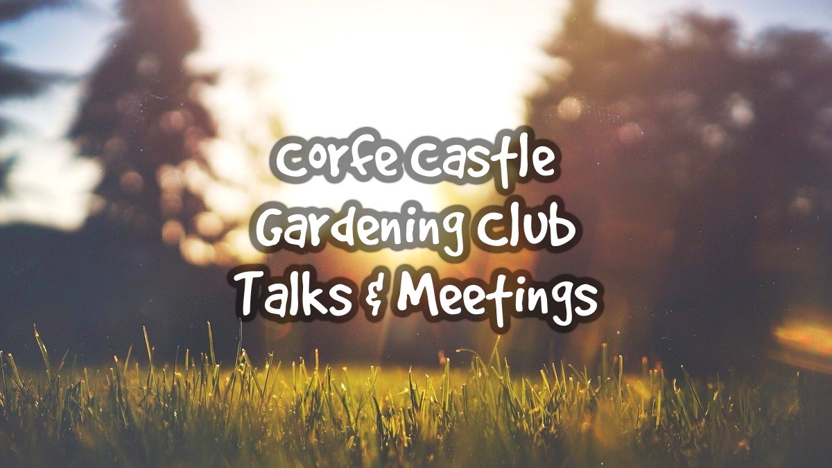 Corfe Castle Gardening Club May 2022