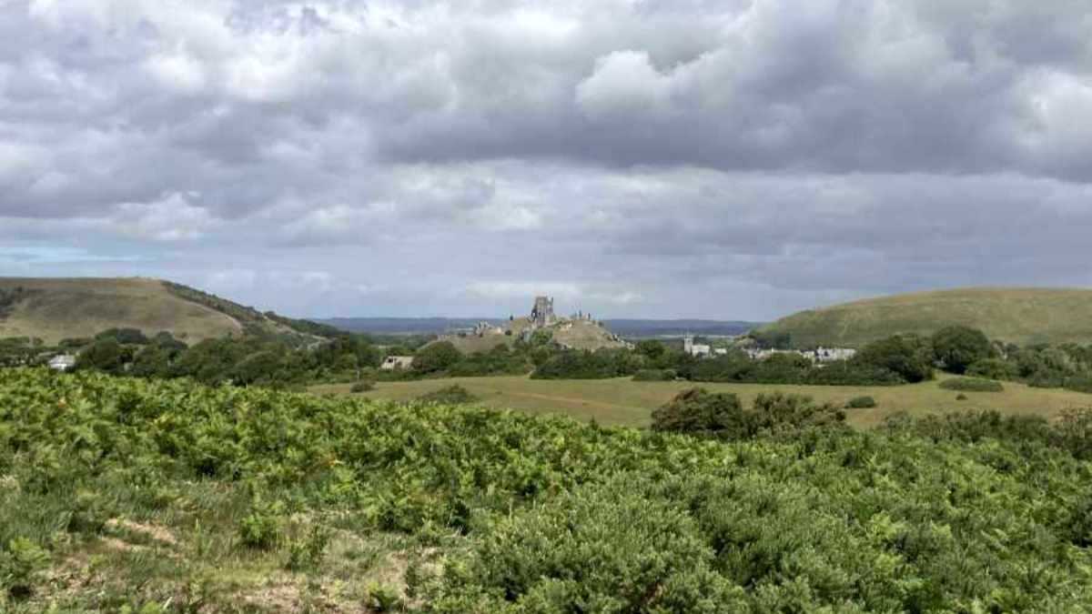 Guided Walk - Corfe Common to the hilltop village of Kingston