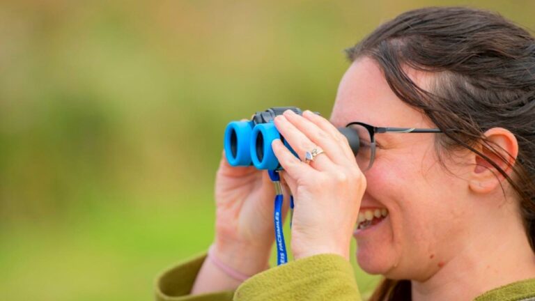 Birdwatching For Beginners Course - RSPB Arne - Corfe Castle