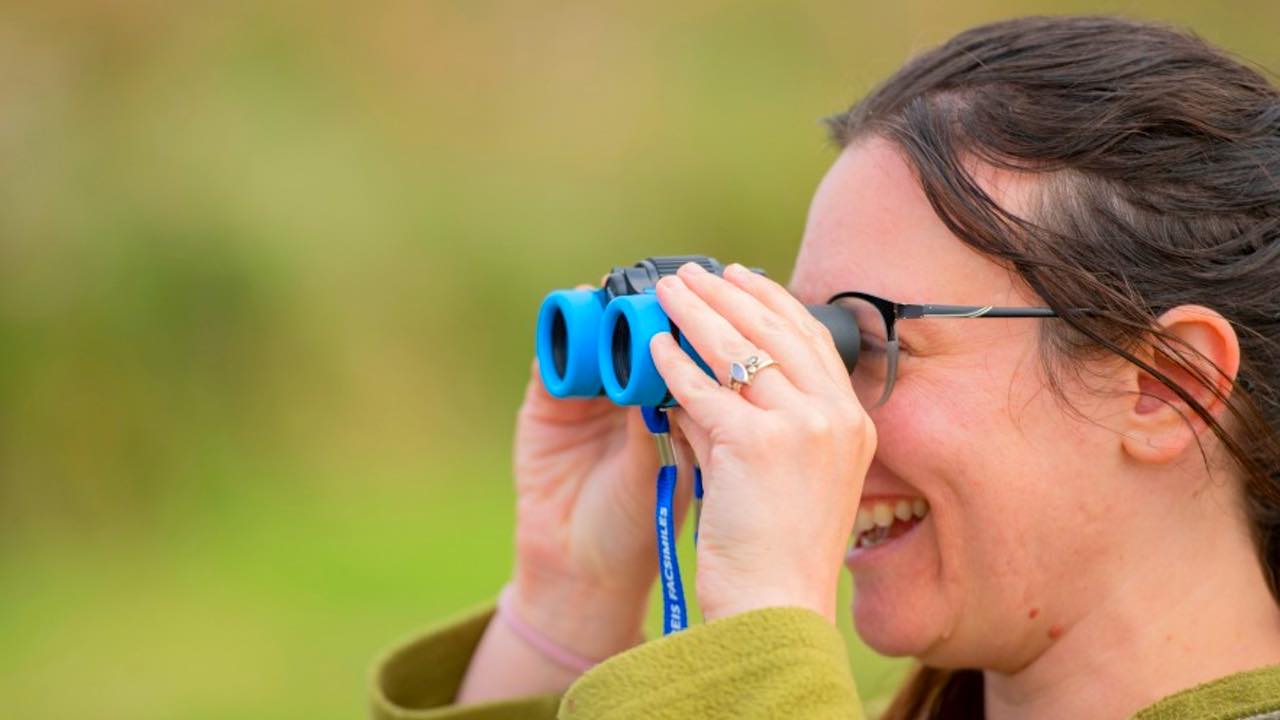 Birdwatching For Beginners Course at RSPB Arne