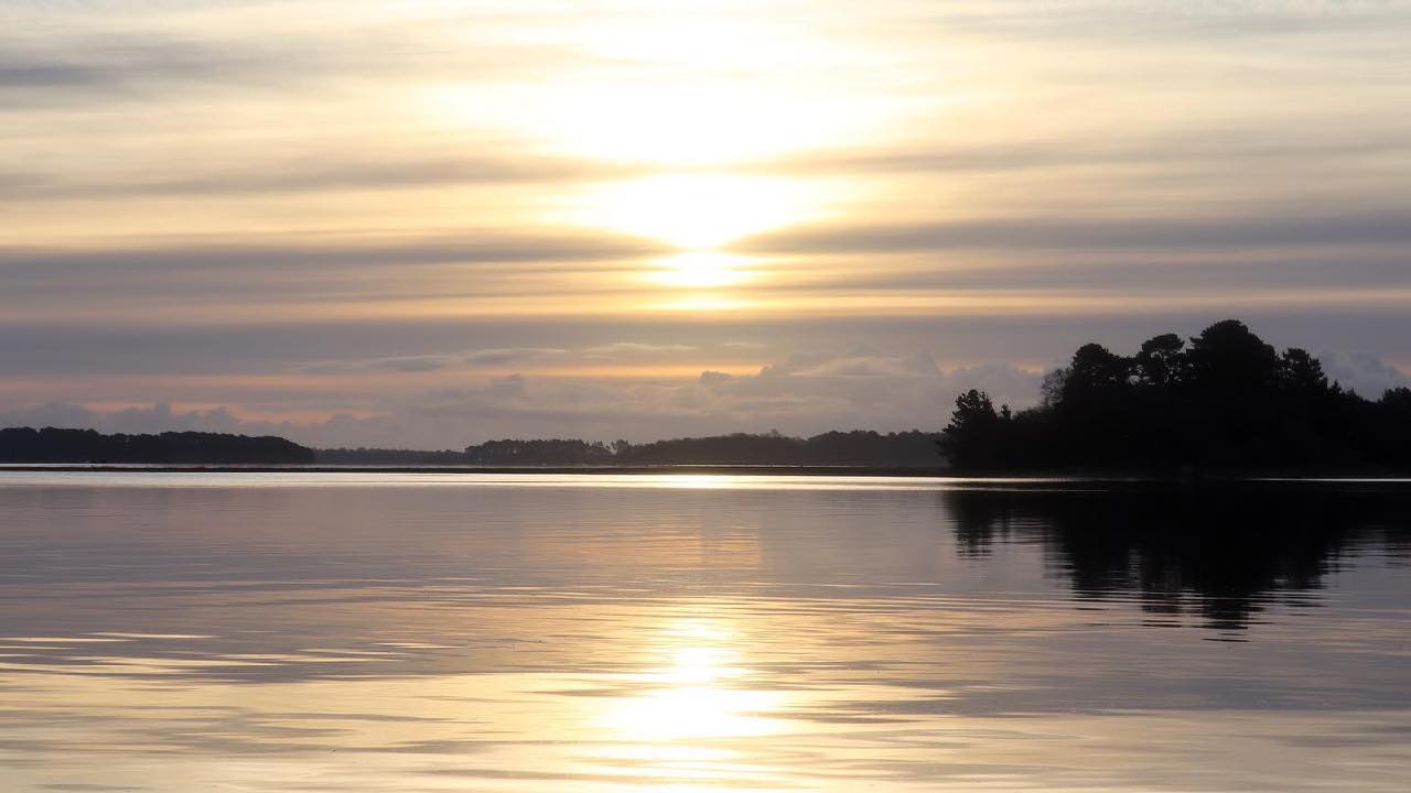 Summer solstice sunrise walk at Arne