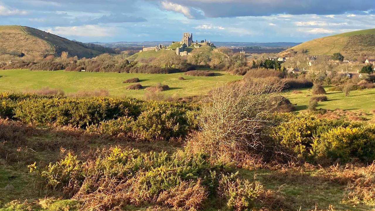 Corfe Castle from the Common