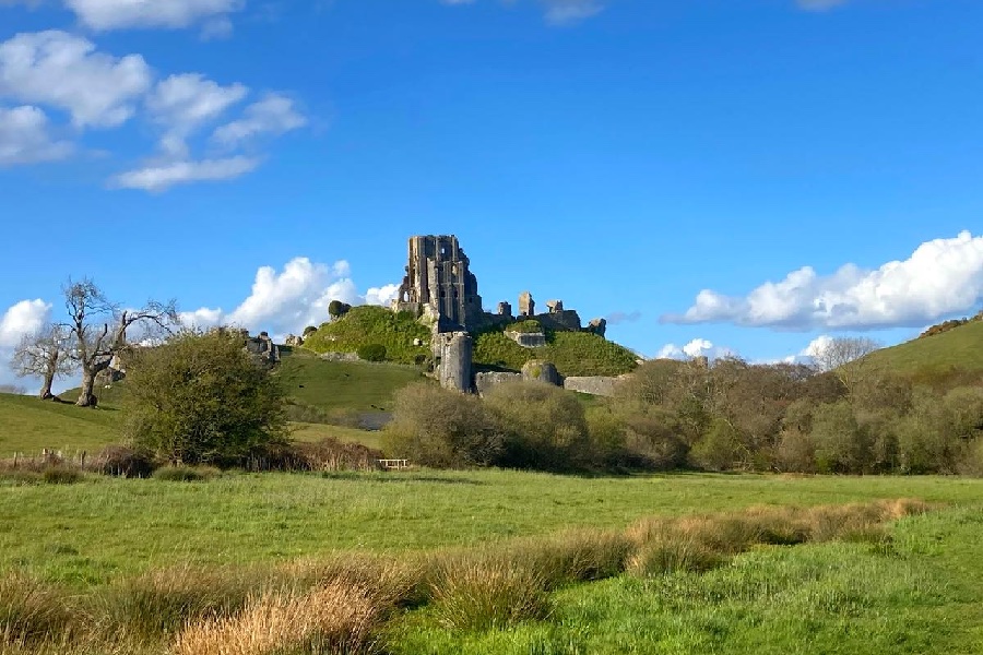 View of Corfe Castle from the water meadow
