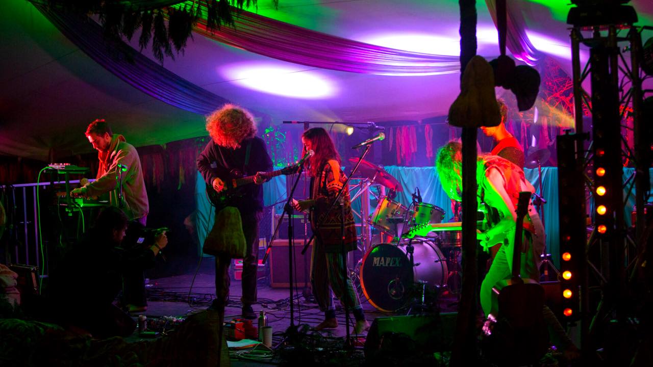Big byrd and the good beast music