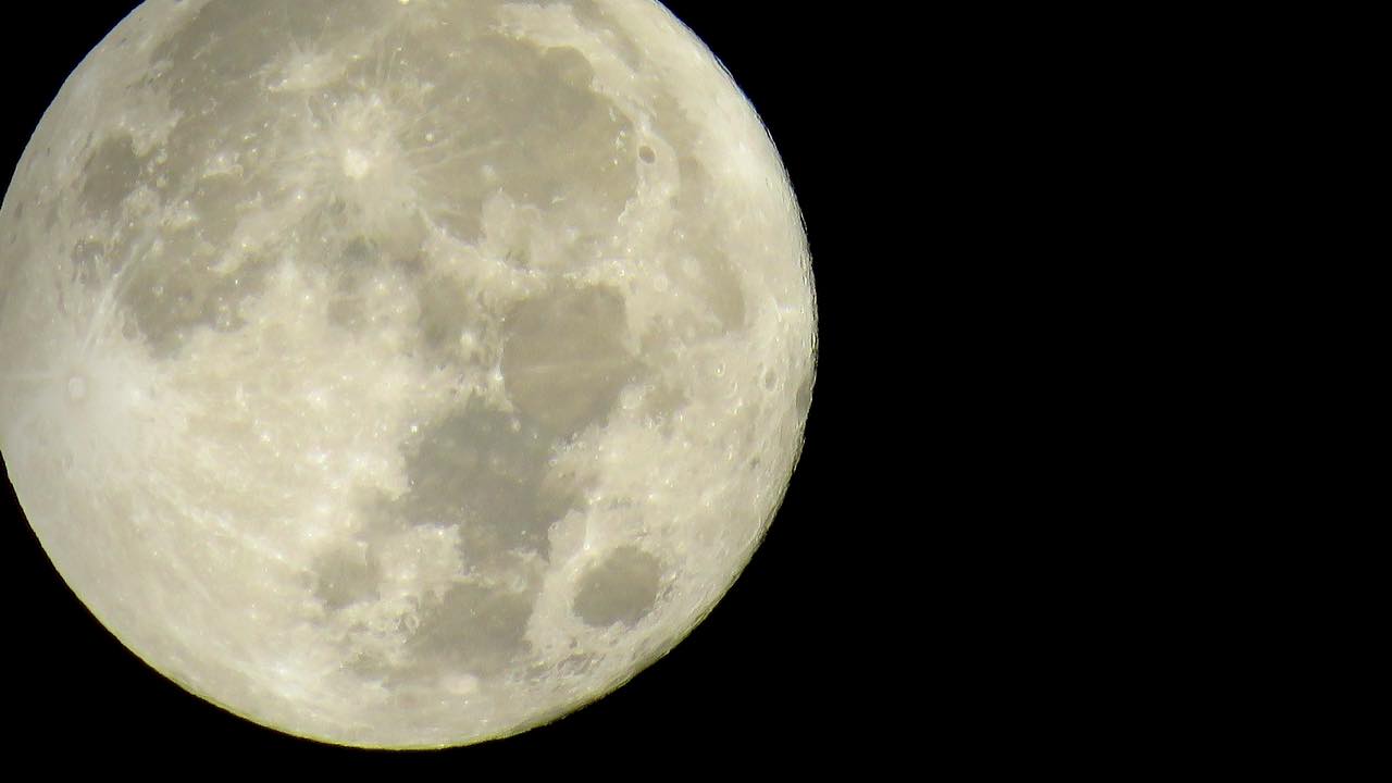 Open to All RSPB Arne Full Moon Walks, May 2024