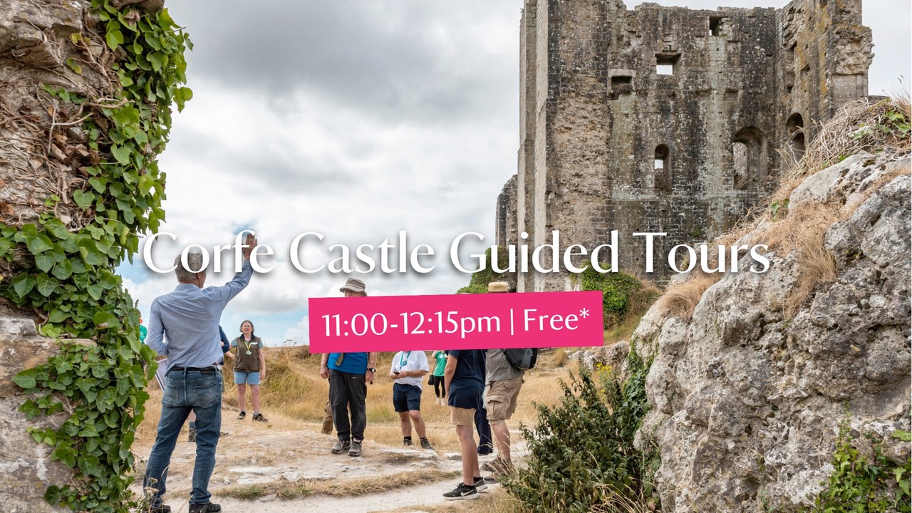 Corfe Castle Guided Tours