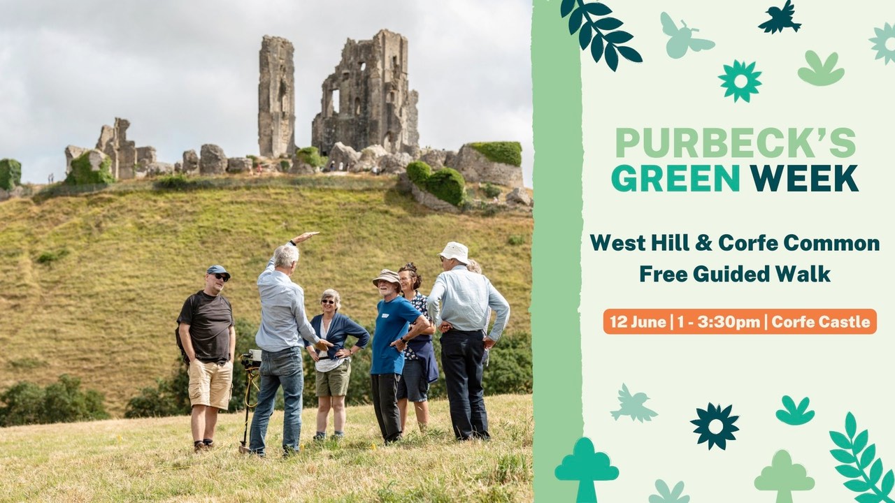 Free Guided Walk – West Hill and Corfe Common – Corfe Castle