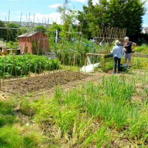 Greengage Community Garden