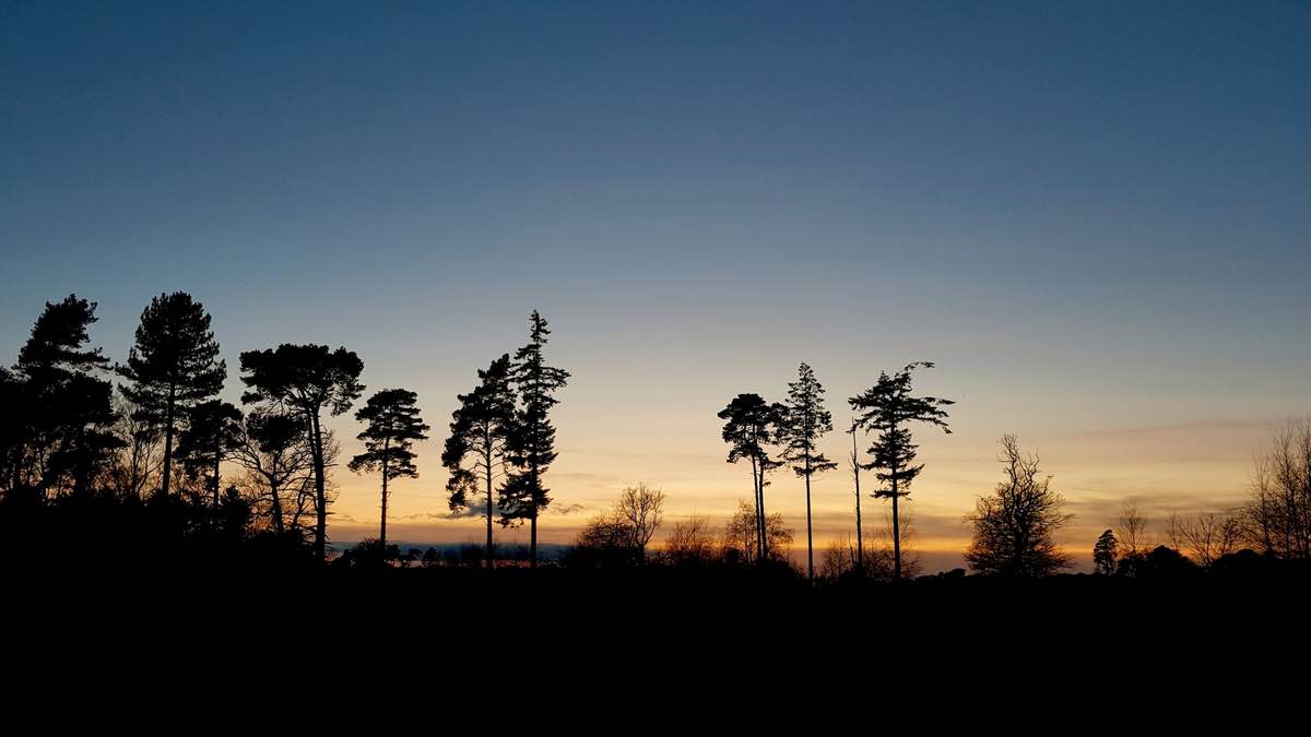 Night Wildlife Guided Walk with supper at RSPB Arne